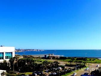 https://web5.gallito.com.uy/venta-de-apartamento-1-dormitorio-en-punta-del-este-playa-inmuebles-21186779