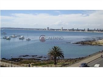 https://web5.gallito.com.uy/apartamento-con-vista-al-puerto-inmuebles-21191732