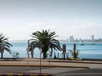 https://web5.gallito.com.uy/apartamento-en-venta-frente-al-mar-inmuebles-19309576