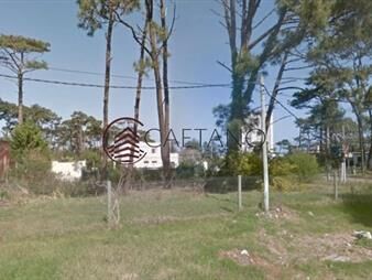 https://web5.gallito.com.uy/hermoso-terreno-esquina-inmuebles-21764339