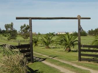 https://web5.gallito.com.uy/chacra-en-zona-de-colonia-inmuebles-21971655