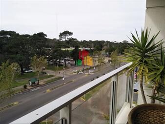https://web5.gallito.com.uy/apartamento-en-punta-del-este-cantegril-inmuebles-22232956