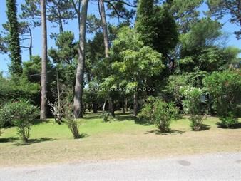 https://www.gallito.com.uy/terreno-en-punta-del-este-san-rafael-inmuebles-19316966