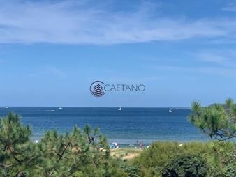 https://web5.gallito.com.uy/apartamento-en-venta-sobre-primera-fila-de-playa-mansa-inmuebles-20418246