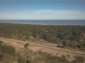 https://web5.gallito.com.uy/venta-terrenos-nuevo-barrio-cerrado-ubicado-a-400-metros-de-inmuebles-23273175