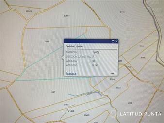 https://www.gallito.com.uy/venta-campo-80-has-garzon-inmuebles-21685330
