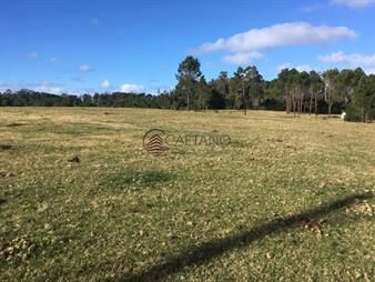 https://web5.gallito.com.uy/venta-terreno-en-rincon-del-indio-punta-del-este-inmuebles-23322136