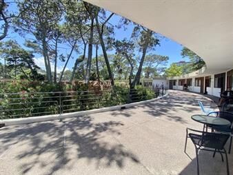 https://web5.gallito.com.uy/venta-y-alquiler-de-apartamento-de-1-dormitorio-en-punta-de-inmuebles-23047491