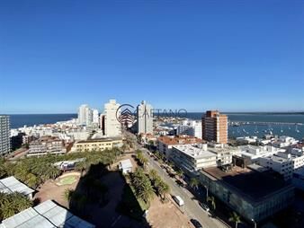 https://web5.gallito.com.uy/amplio-apartamento-en-peninsula-inmuebles-20285183