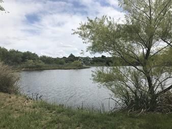 https://web5.gallito.com.uy/venta-de-chacra-sobre-ruta-9-a-30-km-de-jose-ignacio-inmuebles-22908918
