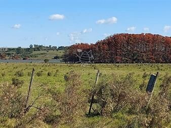 https://www.gallito.com.uy/chacra-a-metros-de-la-ruta-12-con-frente-a-la-laguna-del-s-inmuebles-22909455