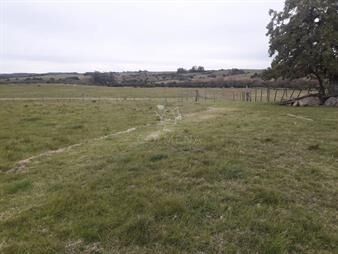 https://www.gallito.com.uy/campo-en-garzon-con-casa-consulte-inmuebles-22909471