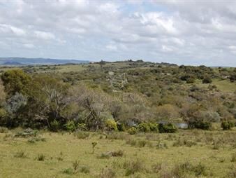 https://www.gallito.com.uy/campo-5-has-con-casa-en-sierra-de-los-caracoles-codigo-53-inmuebles-22909731