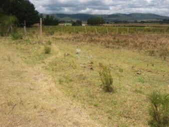 https://www.gallito.com.uy/campo-10-has-con-6799-m2-cerca-de-ruta-8-inmuebles-22910004