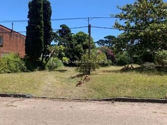 https://web5.gallito.com.uy/oportunidad-lote-en-playa-mansa-en-venta-inmuebles-23476345