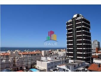 https://web5.gallito.com.uy/apartamento-en-peninsula-1-dormitorios-inmuebles-23013739