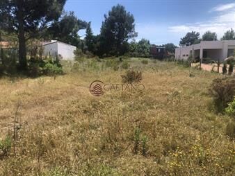 https://web5.gallito.com.uy/terreno-en-venta-en-tio-tom-inmuebles-22890134