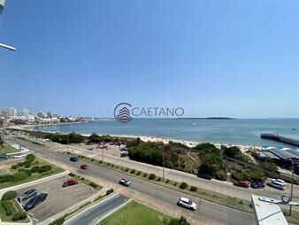https://web5.gallito.com.uy/venta-apartamento-3-dormitorios-playa-mansa-punta-del-este-inmuebles-23605192