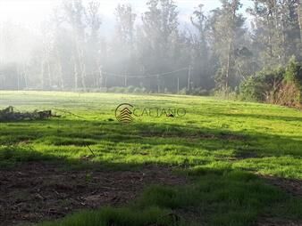 https://web5.gallito.com.uy/espectacular-terreno-en-rincon-del-indio-punta-del-este-inmuebles-23640017