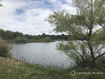 https://web5.gallito.com.uy/chacra-sobre-ruta-9-a-30-km-de-jose-ignacio-inmuebles-23631028