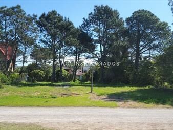 https://web5.gallito.com.uy/terreno-en-pinares-a-pasos-del-mar-inmuebles-17804693