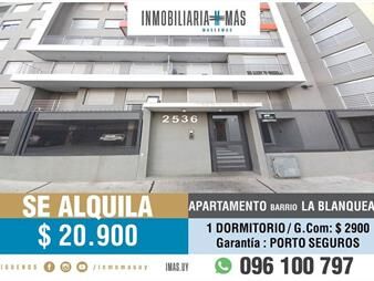https://web5.gallito.com.uy/alquiler-apartamento-union-montevideo-imasuy-ma-inmuebles-23816809
