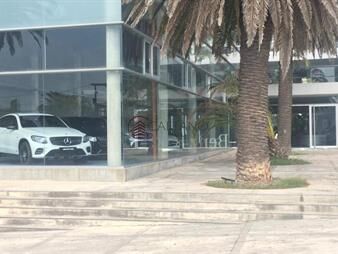 https://web5.gallito.com.uy/local-en-ventaen-zona-peninsula-punta-del-este-inmuebles-23777769
