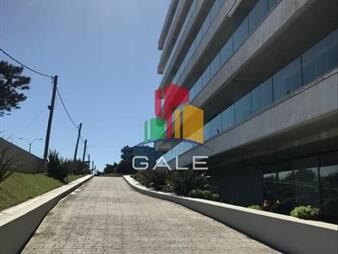 https://web5.gallito.com.uy/apartamento-en-mansa-punta-del-este-primera-linea-inmuebles-23891915