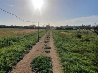 https://www.gallito.com.uy/chacra-proximo-ruta-101-y-camino-el-gallo-inmuebles-21971397