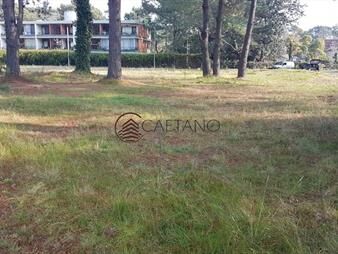 https://web5.gallito.com.uy/terreno-en-cantegril-inmuebles-21569835