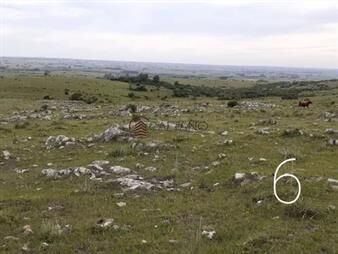 https://www.gallito.com.uy/venta-chacras-8-hectãreas-cerro-corte-de-la-leã±a-mald-inmuebles-23464195