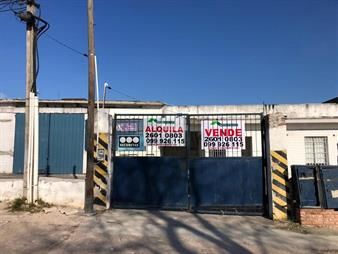 https://web5.gallito.com.uy/venta-y-alquiler-local-galpon-industrial-piedras-blancas-te-inmuebles-17664381