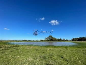 https://web5.gallito.com.uy/chacra-en-venta-josã©-ignacio-inmuebles-21780539