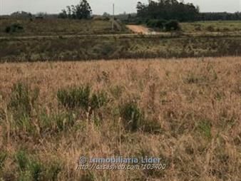 https://web5.gallito.com.uy/campo-en-estacion-solis-inmuebles-14440327