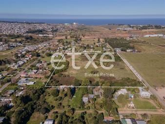 https://web5.gallito.com.uy/alquiler-terreno-en-zona-industrial-cno-bajo-de-la-petis-inmuebles-20252997