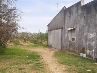 https://web5.gallito.com.uy/chacras-venta-melilla-inmuebles-22699926