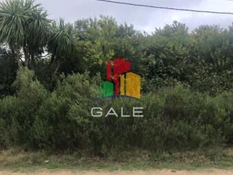 https://web5.gallito.com.uy/terrenos-altos-en-la-barra-inmuebles-24437458