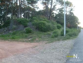 https://web5.gallito.com.uy/financia-se-vende-terreno-esquinero-en-punta-ballena-exce-inmuebles-23652403