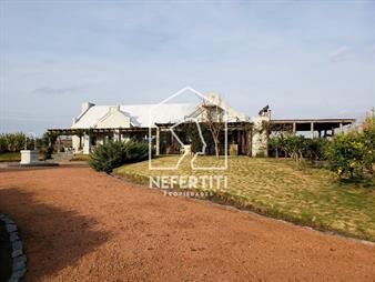 https://www.gallito.com.uy/chacra-en-camino-punta-ballena-inmuebles-24614392
