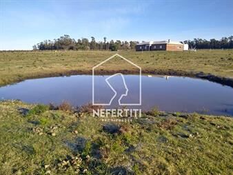https://www.gallito.com.uy/venta-de-chacra-con-casa-de-campo-en-atlãntida-inmuebles-24614676