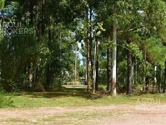 https://web5.gallito.com.uy/apartamento-de-tres-dormitorios-en-venta-en-haras-del-lago-inmuebles-24108707