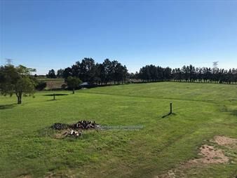 https://web5.gallito.com.uy/terreno-en-alquiler-peñarol-viejo-perimetral-102-inmuebles-13921102