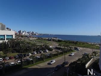 https://web5.gallito.com.uy/departamento-de-1-dormitorio-en-venta-a-metros-del-mar-pla-inmuebles-23382176