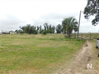 https://www.gallito.com.uy/campo-en-maldonado-ruta-9-inmuebles-24466973
