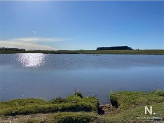 https://www.gallito.com.uy/gran-campo-en-maldonado-inmuebles-24745159