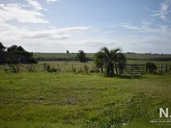 https://web5.gallito.com.uy/campo-ruta-9-san-carlos-inmuebles-24745189