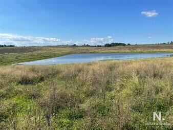 https://web5.gallito.com.uy/campo-en-venta-en-hermosa-zona-inmuebles-24466809