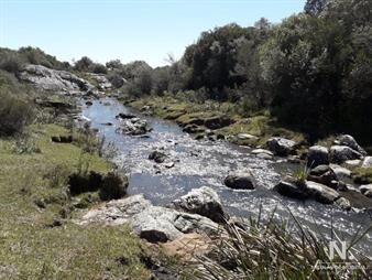 https://www.gallito.com.uy/campo-en-aigua-maldonado-62-hectãreas-inmuebles-24460809