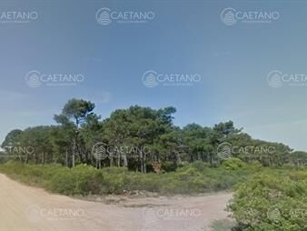 https://web5.gallito.com.uy/venta-terreno-chihuhua-punta-del-este-inmuebles-24371906