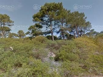 https://web5.gallito.com.uy/venta-terreno-chihuahua-1000-metros-inmuebles-24749551